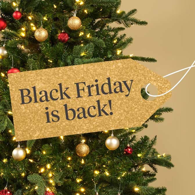 Black Friday is back!