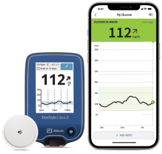 FreeStyle Libre 2 Sensor - Puncture-Free Glucose Self-Monitoring Skin Flash  System- Abbott - 1 sensor for 14 days Abbott