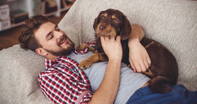 Prevention & Testing