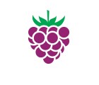 Grape Flavor Icon Grape Flavor Icon