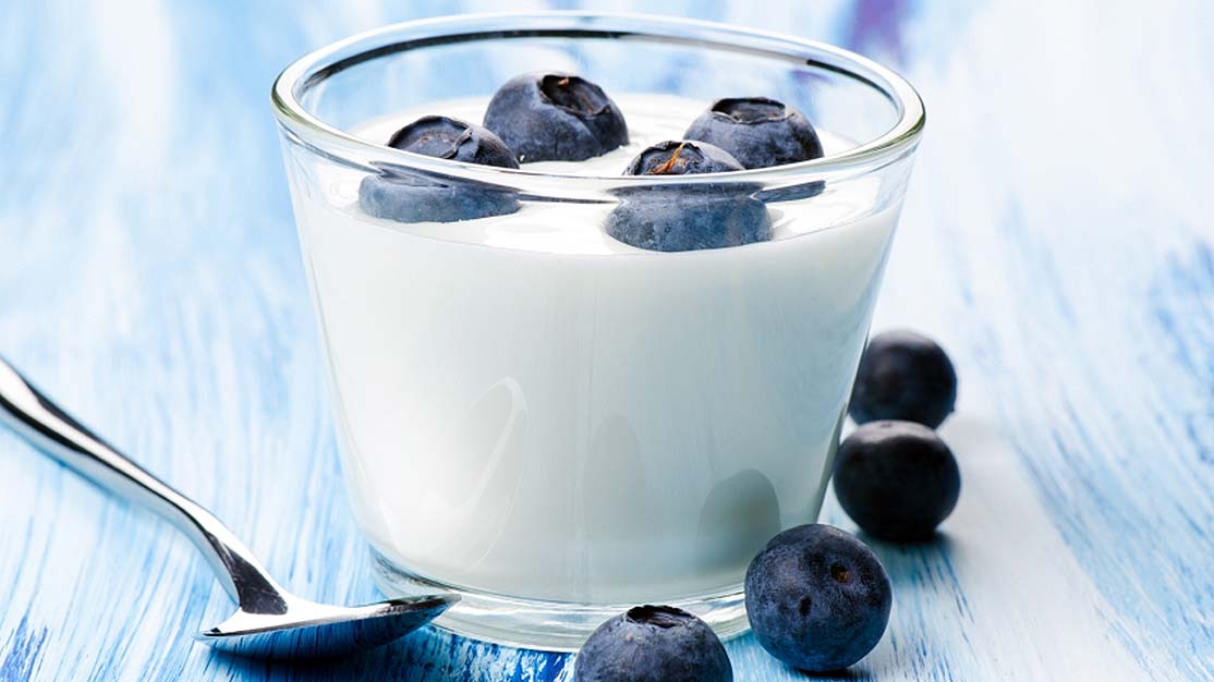I. Introduction to Probiotics and Soil Microorganisms
