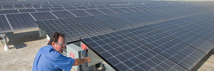 Environmental Sustainability Environmental Sustainability