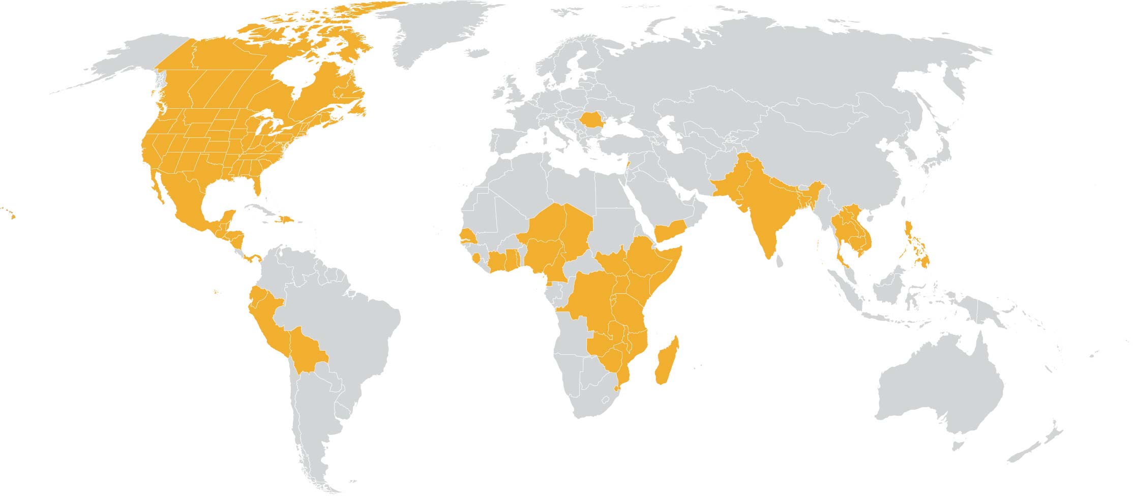 World Map