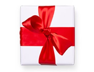 Get festive fast in the Holiday Shop