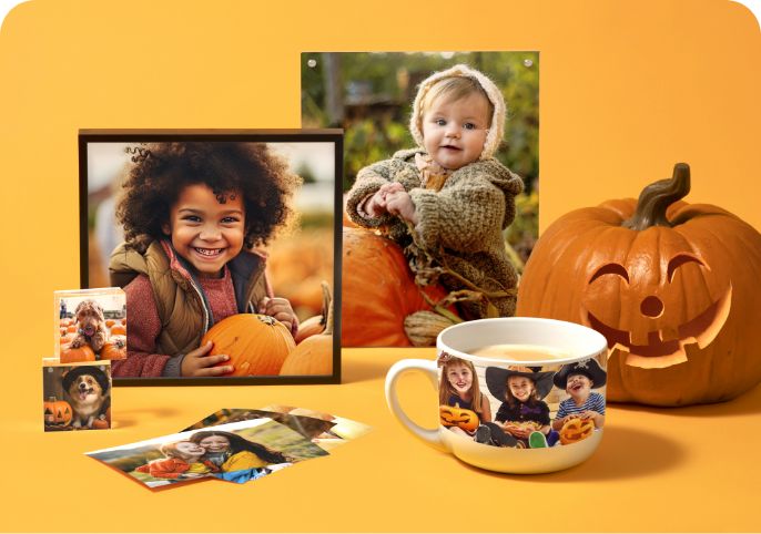 FREE Same Day Pickup