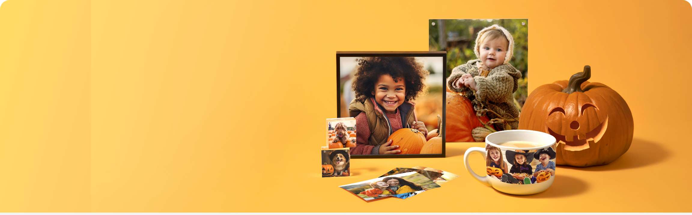 FREE Same Day Pickup