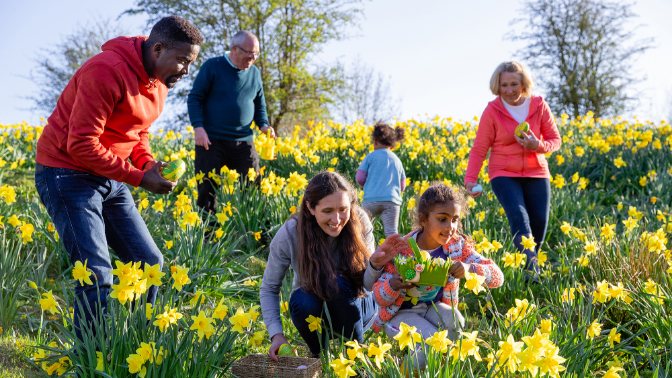 myWalgreens(TM) exclusive