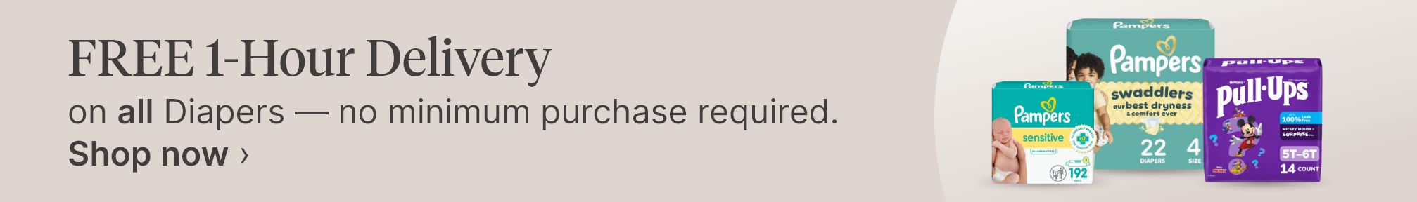 FREE 1-Hour Delivery on all Diapers — no minimum purchase required. Shop now.